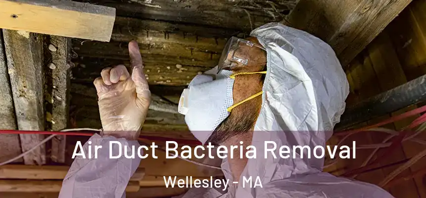  Air Duct Bacteria Removal Wellesley - MA
