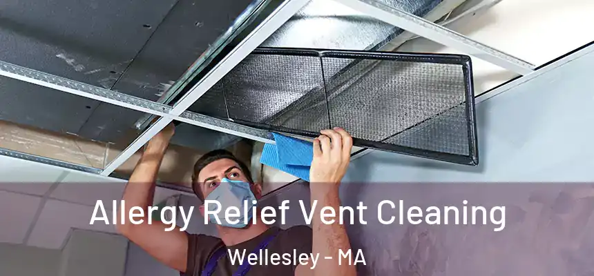  Allergy Relief Vent Cleaning Wellesley - MA