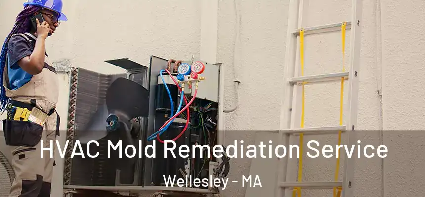 HVAC Mold Remediation Service Wellesley - MA