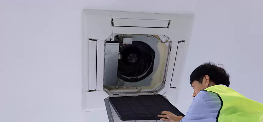 Our Dryer Vent Sanitization Service Services in Wellesley, MA