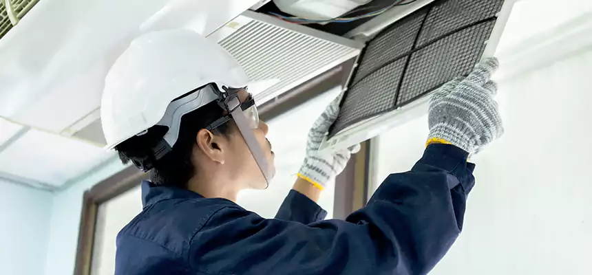 Our Mold & Mildew Removal from Air Ducts Services in Wellesley, MA