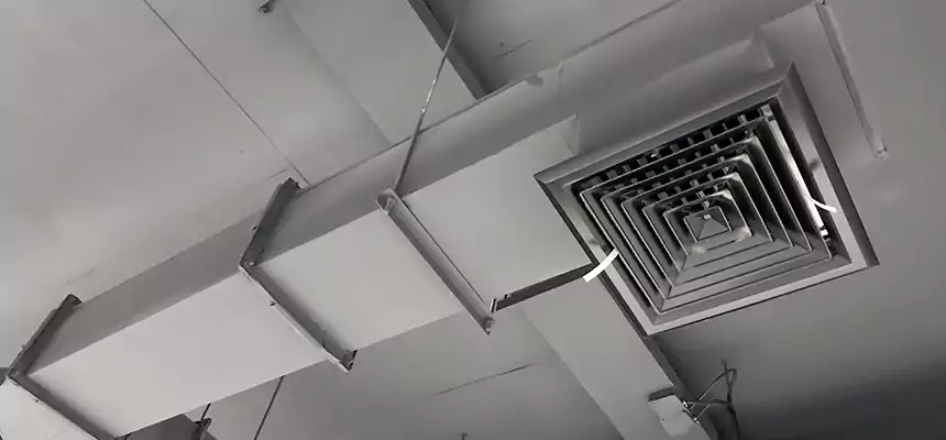 Our Rodent Droppings In Vents Services in Wellesley, MA