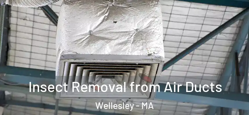  Insect Removal from Air Ducts Wellesley - MA