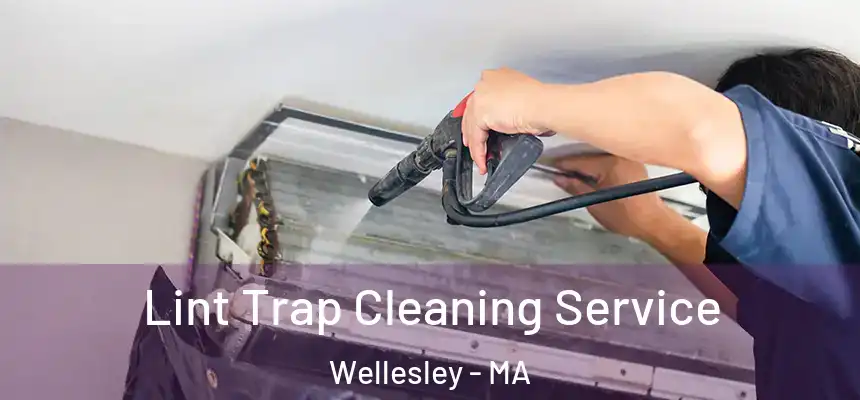 Lint Trap Cleaning Service Wellesley - MA