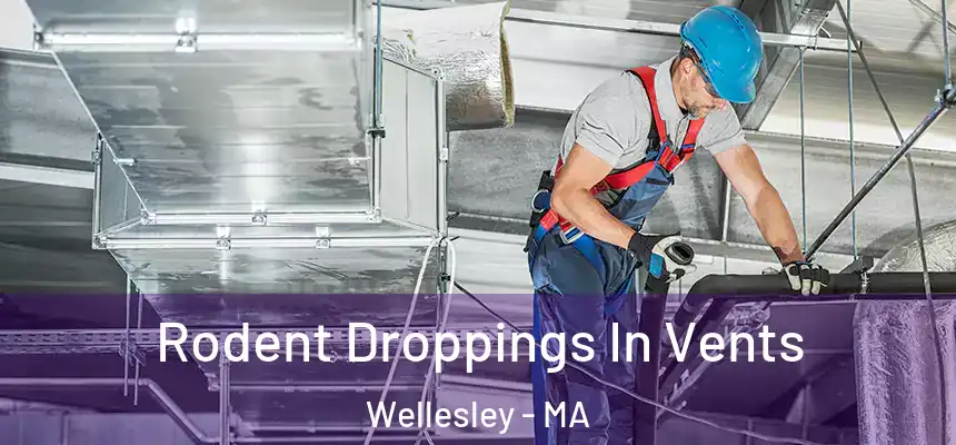  Rodent Droppings In Vents Wellesley - MA