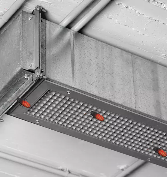 About Air Duct Cockroach Removal in Wellesley, MA