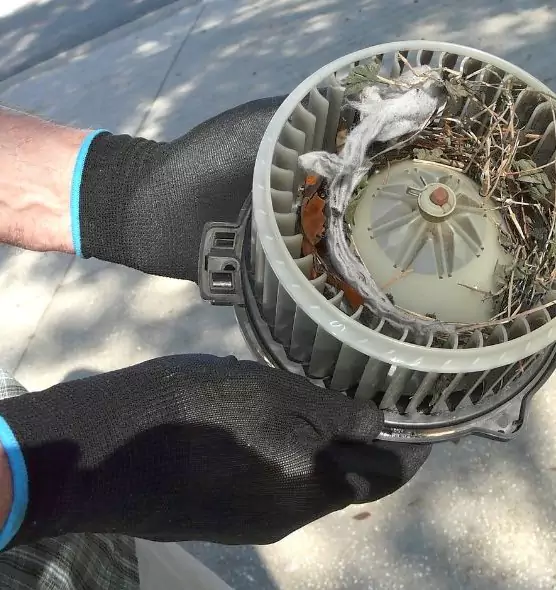 About Air Duct Mice Removal in Wellesley, MA