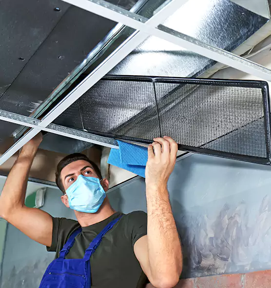 Professional Air Duct Pollen Cleaning in Wellesley, MA