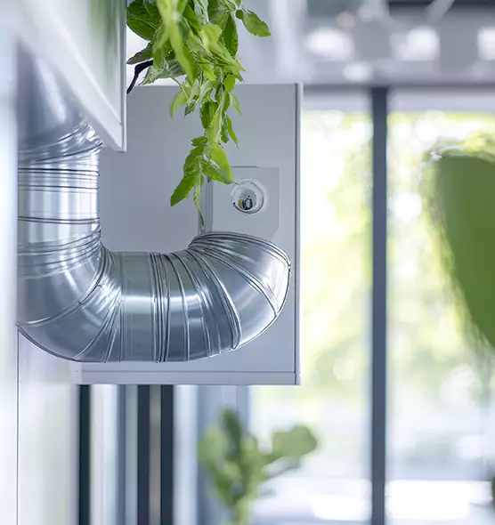 Professional Eco-Safe Dryer Vent Cleaning in Wellesley, MA