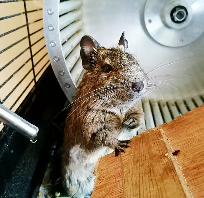 Why Homeowners & Businesses Trust Us Wellesley, MA