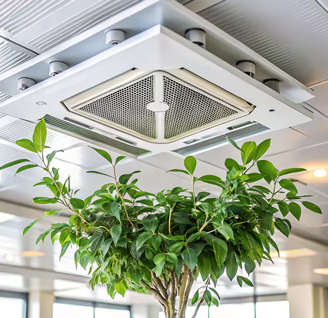 Why Homeowners & Businesses Trust Us in Wellesley, MA?