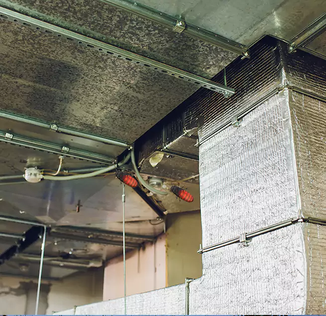 Why Homeowners & Businesses Trust Us Wellesley, MA?