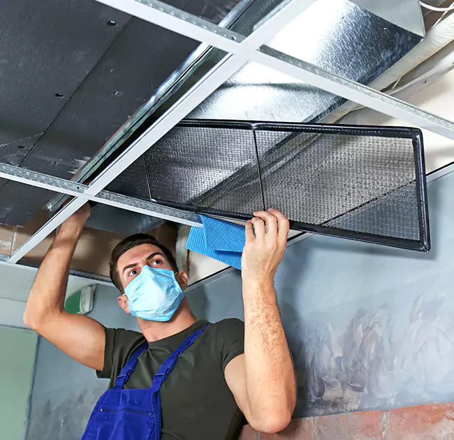 Why Homeowners & Businesses Trust Us in Wellesley, MA?