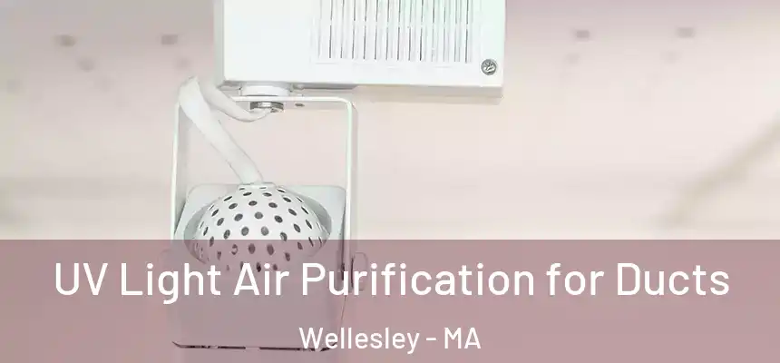 UV Light Air Purification for Ducts Wellesley - MA